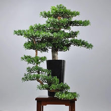 MVUYO Bonsai Plant Simulation Sample Room Root Carving Creative Welcome Pine Bonsai Decoration
