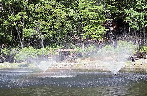Fawn Lake Fountains 1/2, 3/4, 1 HP Floating Fountains Black