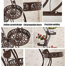 RWGOVLU Plant Stand Flower Stand Iron Plant Stand with Wheels Indoor Floor-Standing Flower Ladder Display Rack,3 Colors Flower Stand