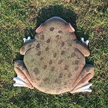 SGeneE Frog Shaped Stepping Stone for Garden Walkway, 30 X 32 Cm Animals Stepping Decorative Stone for Outside/Patio/Pathway/Yard/Pond Area/Porch