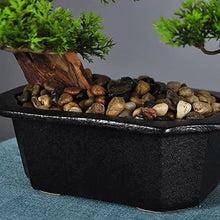 QWERAXZG Rhododendron Root Bonsai Home Porch Hotel Club Soft Decoration