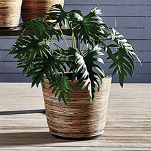Unknown1 Wrapped Dry Basket Planter 20.75" Brown Round Rattan