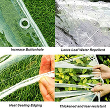 KannOrE Clear Tarps, Plant Cover Insulation Shed Cloth, Transparent Tarpaulin Waterproof Protect Shrubs for Covering Garden Plant Camping Supplies (2x4m)