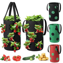 Multi-Port Grow Bags 13-Hole Felt Hanging Planting Bag Outdoor Reusable Thickene Garden Plant Pot for Strawberry Taro Peanut (Color : A) (B)