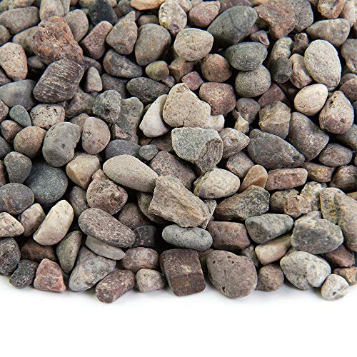 Southwest Boulder & Stone Landscape Rock and Pebble | 2000 Pounds | Natural, Decorative Stones and Gravel for Landscaping, Gardening, Potted Plants, and More (Arizona, 3/8 Inch)