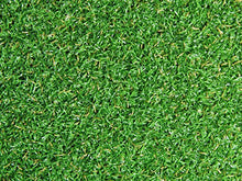 PREMIUM PRO TURF Professional Synthetic Nylon Turf Artificial Grass Indoor/Outdoor Golf Green 12ft x 15ft
