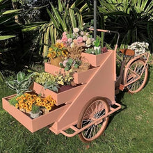 TT-YEL 4-Layer Large Capacity Tricycle Flower Display Cart, Mobile Food Coffee Cart, Commercial Flower Trailer, Retractable Rack, Large Front Loading Scooter,Black