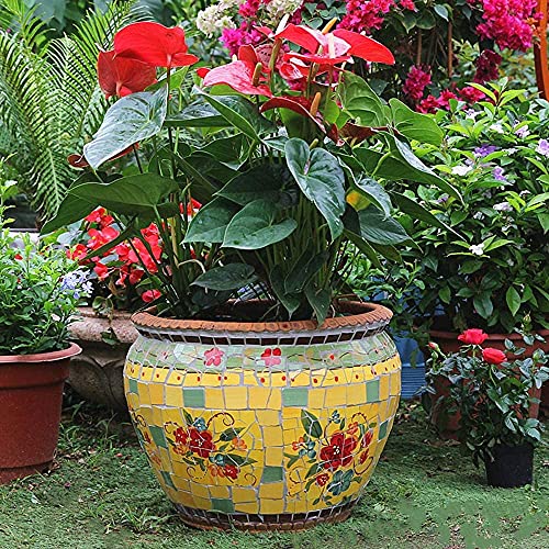 FAFACAI Luxury Hand-Painted Ceramic Green Plant Flower Pots Succulent Plants Pots Bonsai Planter Featured Creative Ceramic Flowerpots Courtyard Balcony Decor Colorful Outdoor Plant Pot (51 * 39cm)