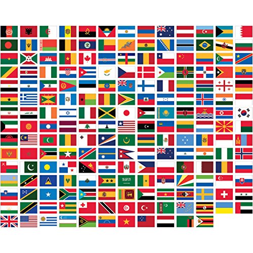 World Flags Direct 3x5 United Nations Polyester Flag Set Multicolor