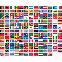 World Flags Direct 3x5 United Nations Polyester Flag Set Multicolor