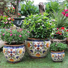 FAFACAI Creative Characteristic Mexico Color Ceramics Large Flower Pot Outdoor Plant Pot Villa Patio Process Container Outdoor Garden for Villa Corridor Aisle Colorful Planter Garden (51 * 39cm)