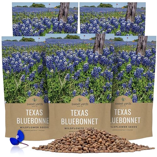 Bulk Texas Bluebonnet Wildflower Seeds - 5 Pounds - Over 80,000 Native Seeds - Texas State Flower!