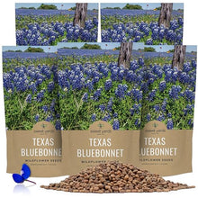 Bulk Texas Bluebonnet Wildflower Seeds - 5 Pounds - Over 80,000 Native Seeds - Texas State Flower!