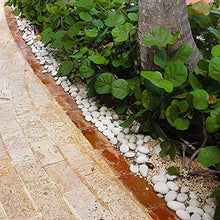 Caribbean Beach Pebbles