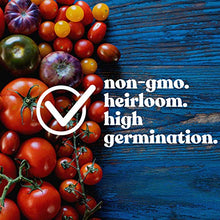 Mountain Valley Seed Company Tomato Seeds - Flame 1 Lb Non-GMO Heirloom Annual