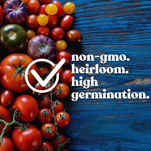 Mountain Valley Seed Company Tomato Seeds - Flame 1 Lb Non-GMO Heirloom Annual