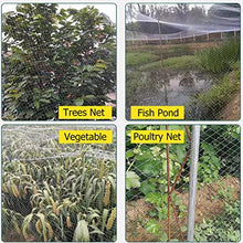 Plastic Garden Fencing Garden Netting for Raised Beds, Durble Nylon Anti Bird Net Greenhouse Row Covers for Vegetables Plants Fruits Flowers Crops Protection, Small Hole 3/5x3/5in(15x30m(49x98.4ft))