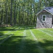 Outsidepride SPF-30 Hybrid Bluegrass Seeds - 50 lbs. Heat & Drought Tolerant, Texas Bluegrass & Kentucky Bluegrass Seed Mix for Challenging Climates, OptiGrowth Coated for Better Establishment
