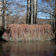 Drake Waterfowl DHG4000-006 Ghillie Boat Blind Mossy Oak Bottomland OSFM