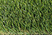 StarPro Greens SPG-80 1.6" Tall 4-Color Bermuda Artificial Grass $3.11/sq.ft. (Pick Size Below) (8 ft. x 15 ft. = 120 sq. ft.)