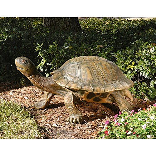 Design Toscano The Tranquil Tortoise Statue Size: Giant