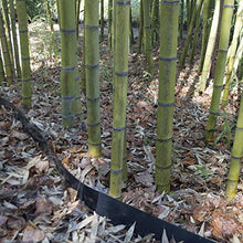 Bamboo Shield Bamboo Root Barrier/Water Barrier 200ft x 24in x 60mil Black
