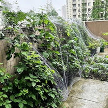 Reusable Garden Bird Netting Mesh, UV Resistant Protective Net