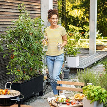Lechuza Trio Cottage 30 Graphite Black, Trough Self-Watering Large Planter, H13.4 L39.4 W12.6 in, 3 Liners