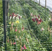 Hortomallas (x20) Professional Grade Vegetable Support Trellis Netting Roll/Scrog Net Roll, 4-Feet by 4920-Feet (x20) 48" x 4920' (mesh 5.9" x 6.7")