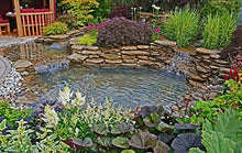 Lifeguard 25 ft. x 30 ft. EPDM Pond Liner – 45-Mil Rubber