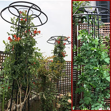 SDdPulse Large Garden Obelisk Climbing Plant Support Frame, Outdoor PatioGarden Arbor for Various Climbing Plant Lawn Backyard, 55 * 205cm