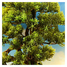 Fake Plants 17 Inches Artificial Bonsai Tree,LED Warm Light Ring Faux Ornaments,Fake Tree for Decoration Desktop Display（with Cleaning Brush） Bonsai Tree (Color : 1)