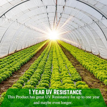 Farm Plastic Supply Clear Greenhouse Plastic Sheeting 6 mil 1 Year UV Resistant Polyethylene 60' x 80'