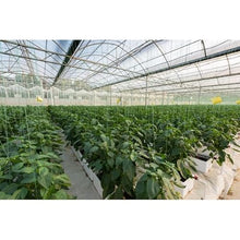 Farm Plastic Supply Clear 6 Mil Vapor Barrier Greenhouse Plastic Sheeting 40' x 120'