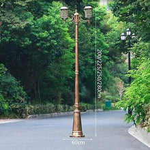 Xinmeiyue Antique Bronze Solar Lantern Post Light - 2-Lights Decorative Outdoor Column Lamp for Garden, Garage, and Courtyard(2.8m)