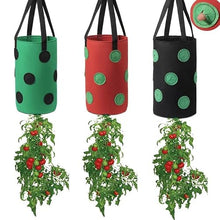 Multi-Port Grow Bags 13-Hole Felt Hanging Planting Bag Outdoor Reusable Thickene Garden Plant Pot for Strawberry Taro Peanut (Color : A) (C)