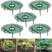 SIDUFHAOPKLL Strawberry Balcony Planting Rack Fruit Support Plant Flower Climbing Vine Pillar Gardening Stand
