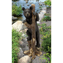 Design Toscano Bashful Black Bear Cub Outdoor Garden Animal Statue, 34 Inch, Resin, Full Color Finish