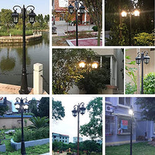 iumLeap 265Cm 2-Head Outdoor Lamp Post Light Apillar Post Light Garden Path Pillar Lamp Ip65 Waterproof Street Light Glass Lantern Courtyard Bollard Path Lamp Pathlighting Po(230cm)