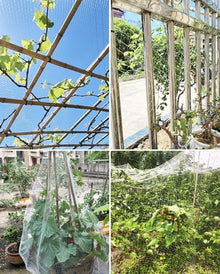 5 10 20 30 m Garden Plant Anti Bird Netting, Lightweight Tear Resistant Bird Netting for Blueberry Bushes, Strawberry Plants and Chicken Coop(65x82ft(20x25m))