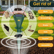 ASEINT Mole Repellent for Lawns, Solar Powered | Patent Screw-Shape-Stake Design | IP65 Waterproof, Varying Sonic and Vibration to Expel Mole Gopher Snake Vole, for Lawn Garden & Yard (4pc), Green