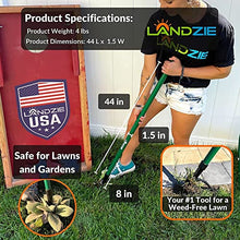 Landzie Spreader & Weeder Lawn Care Set - 60" Compost Spreader & 44" Manual Weeder Green