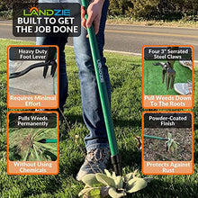 Landzie Spreader & Weeder Lawn Care Set - 60" Compost Spreader & 44" Manual Weeder Green