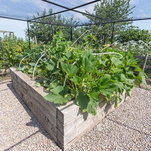 Harrier Fruit & Vegetable Cage - Walk-in Garden Dome [Various Sizes] | Anti-Bird Cage with Bird Netting for Vegetables | Garden Netting for Veg Patch | Fruit Cage (6m x 8m, 1x Door Kit)