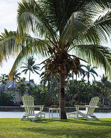 POLYWOOD Palm Coast Ultimate Adirondack Chair 3-Piece Set with Hideaway Ottoman