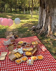 Country Style Wicker Picnic Basket Hamper with Lid and Handle Liners for Picnics Parties and Bbqspicnic Basket