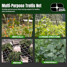 Hortomallas 6.5 Feet by 4920-Feet Professional Grade Vegetable Support Trellis Netting Roll/Scrog Net Roll, (79" x 4920' / 2m x 1500m) (mesh 5.9"x6.7" / 15cm x 17cm)