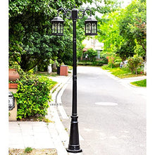 iumLeap 112Inch 2-Head Outdoor Lamp Post Light Apillar Post Light Garden Path Pillar Lamp Ip65 Waterproof Street Light Glass Lantern Courtyard Bollard Path Lamp Pathlighting (Black-112inch)
