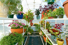 Solexx Gardeners Oasis Greenhouse 3.5MM Deluxe 8'x8'x8' White