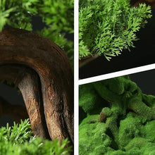 QWERAXZG Simulation Welcome Pine Living Room Office Decoration Green Plant Sales Department